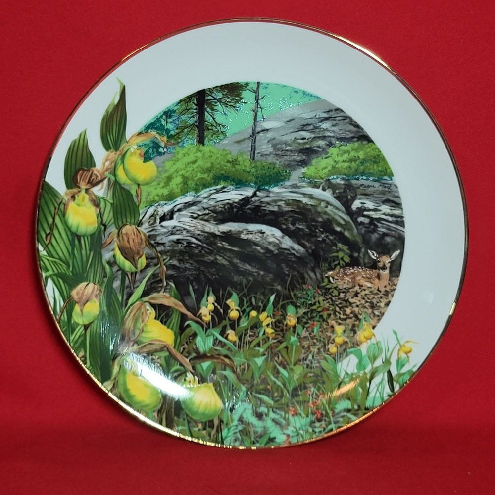 VTG Decorative Plate Royal Windsor Lady Slipper Orchid Wildflowers of the South